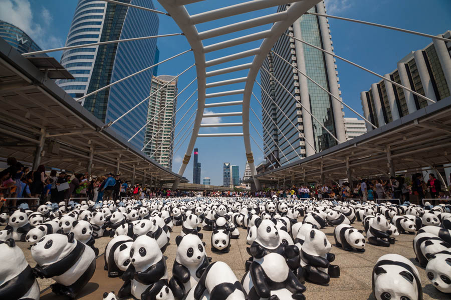 1600 Pandas World Tour in Thailand - 03
