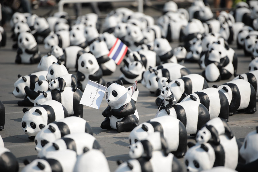 1600 Pandas+ World Tour in Thailand - pics05