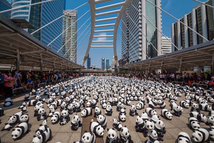 1600 Pandas+ World Tour in Thailand - pics08