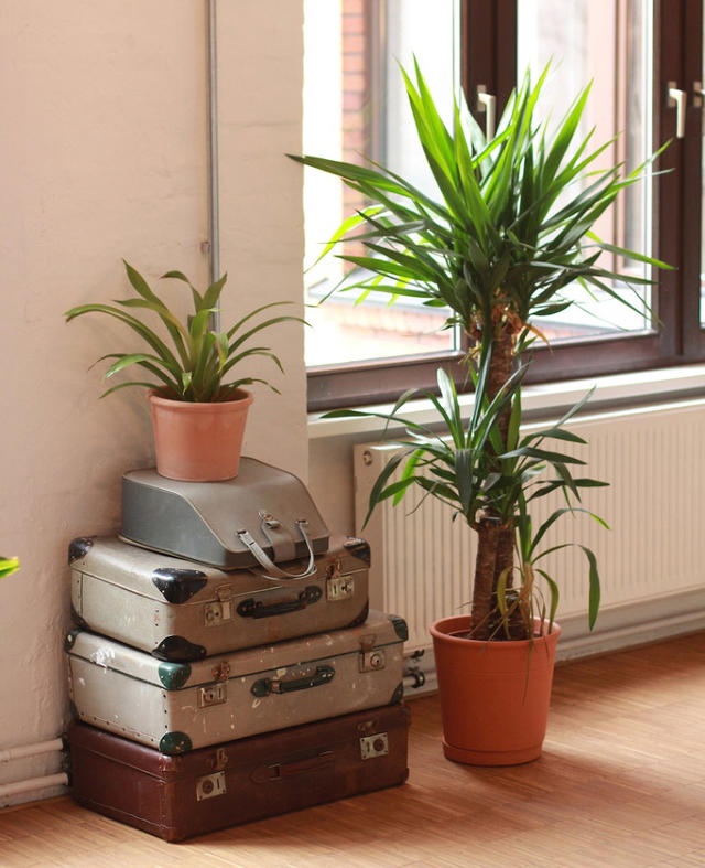 3058926-inline-i-1-this-coworking-space-will-let-you-work-there-in-exchange-for-content-elizabeth-rushe