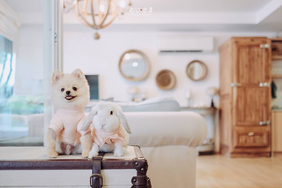 MUJI SAMA むじ さま (2)