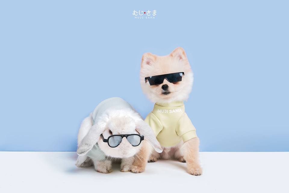 MUJI SAMA むじ さま (3)