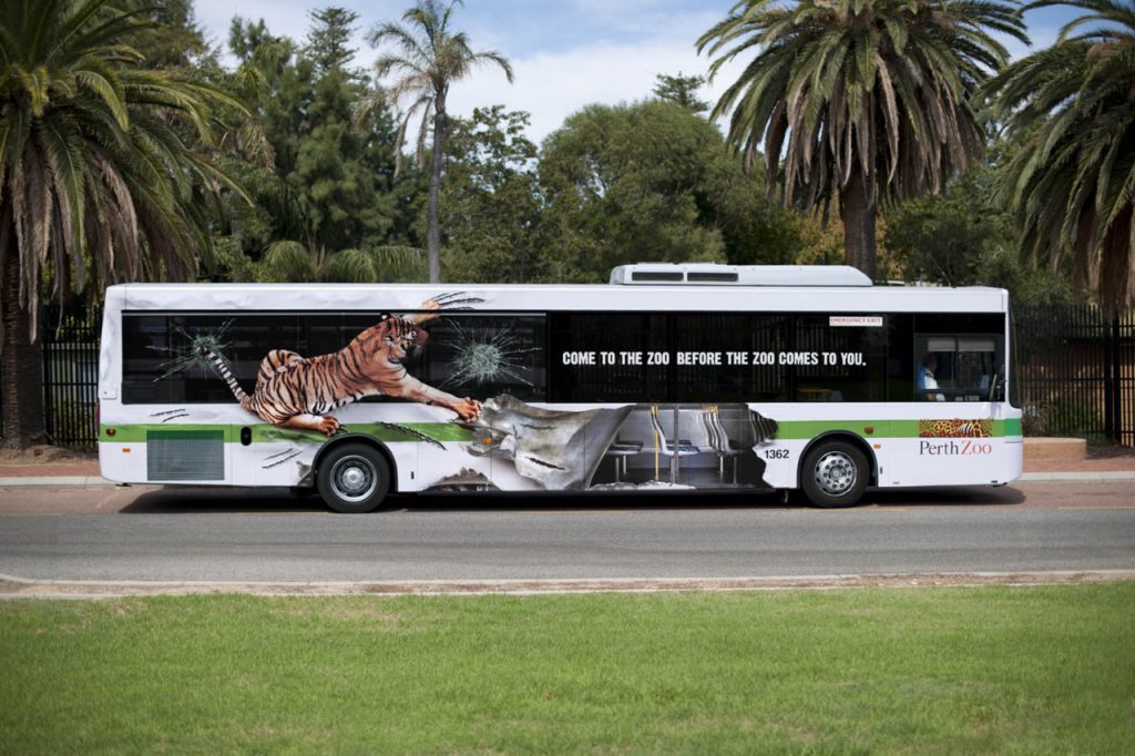 Zoo Bus