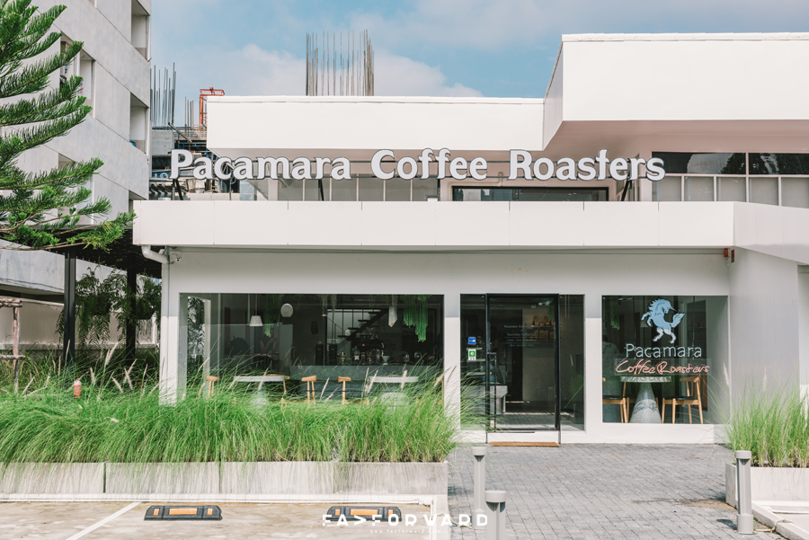 Pacamara, Coffee, แบรนด์กาแฟ, Specialty Coffee Lab, coffee academy, โรงเรียนสอนทำกาแฟ, ร้านกาแฟน่านั่ง, คาเฟ่น่านั่ง ทองหล่อ,