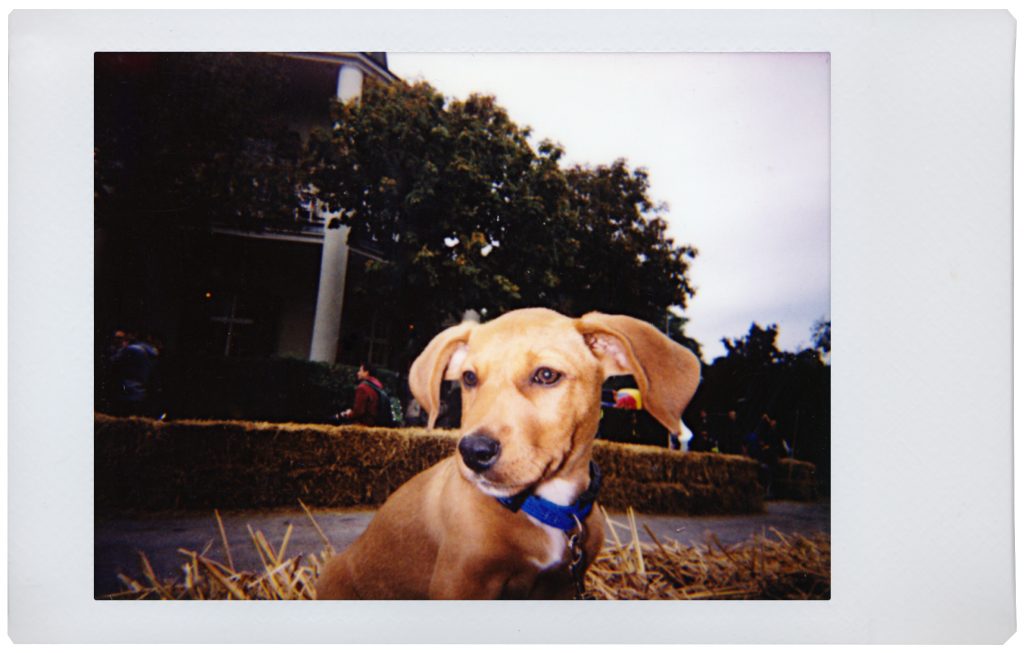 lomoinstant_sample-pictures_30