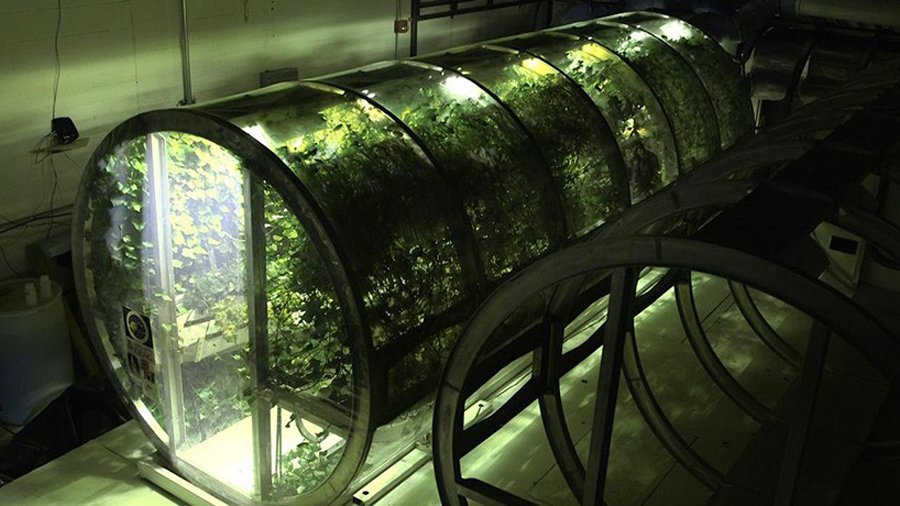 แคปซูลปลูกผักบนอวกาศ, นาซ่า, NASA