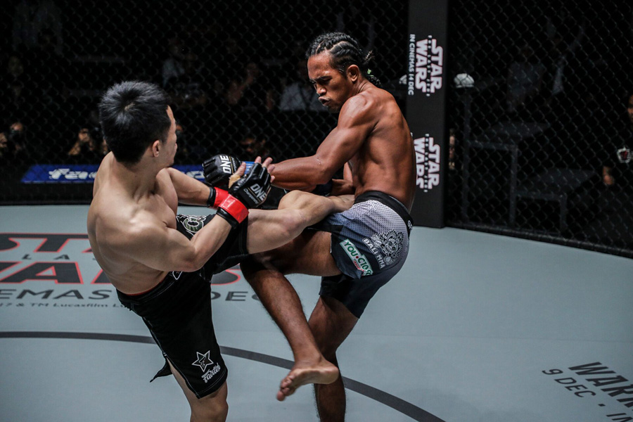 ONE IMMORTAL PURSUIT, ONE Championship